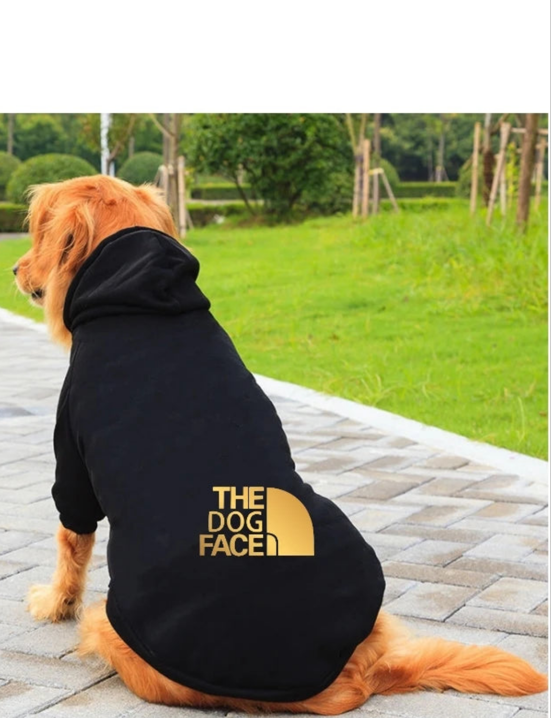 07-Dog face fashion dress.