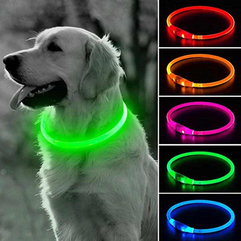 05-USB LED Collar for Night Walking with Your Dog