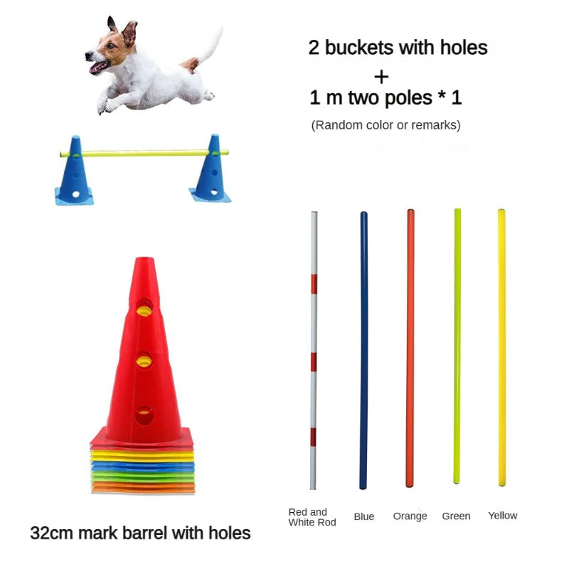 04-Pet Agility Training.