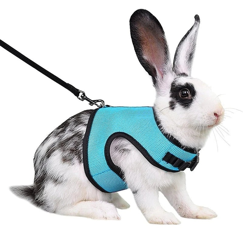 03–Breathable harness with leash for rabbits and rodents