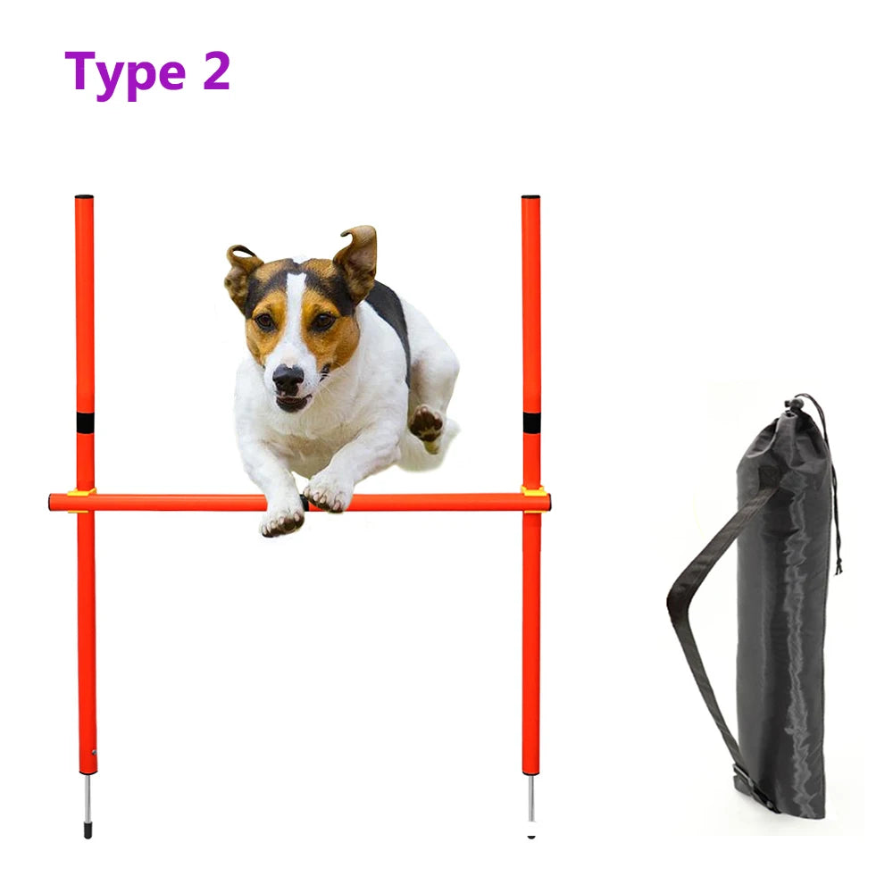 04-Dog Agility Equipment.