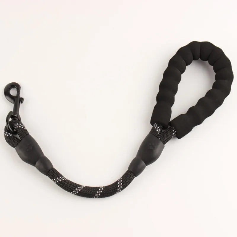 06-Short leash for greater control.