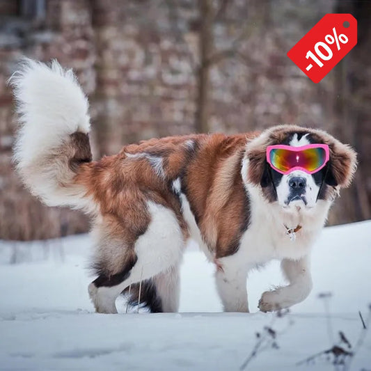 04a-Occhiali da Sole UV per Cani Grandi – Regolabili Outdoor Sport