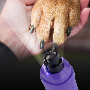 13-Lima Elettrica per Unghie Cani e Gatti con 2 LED e 2 Velocità