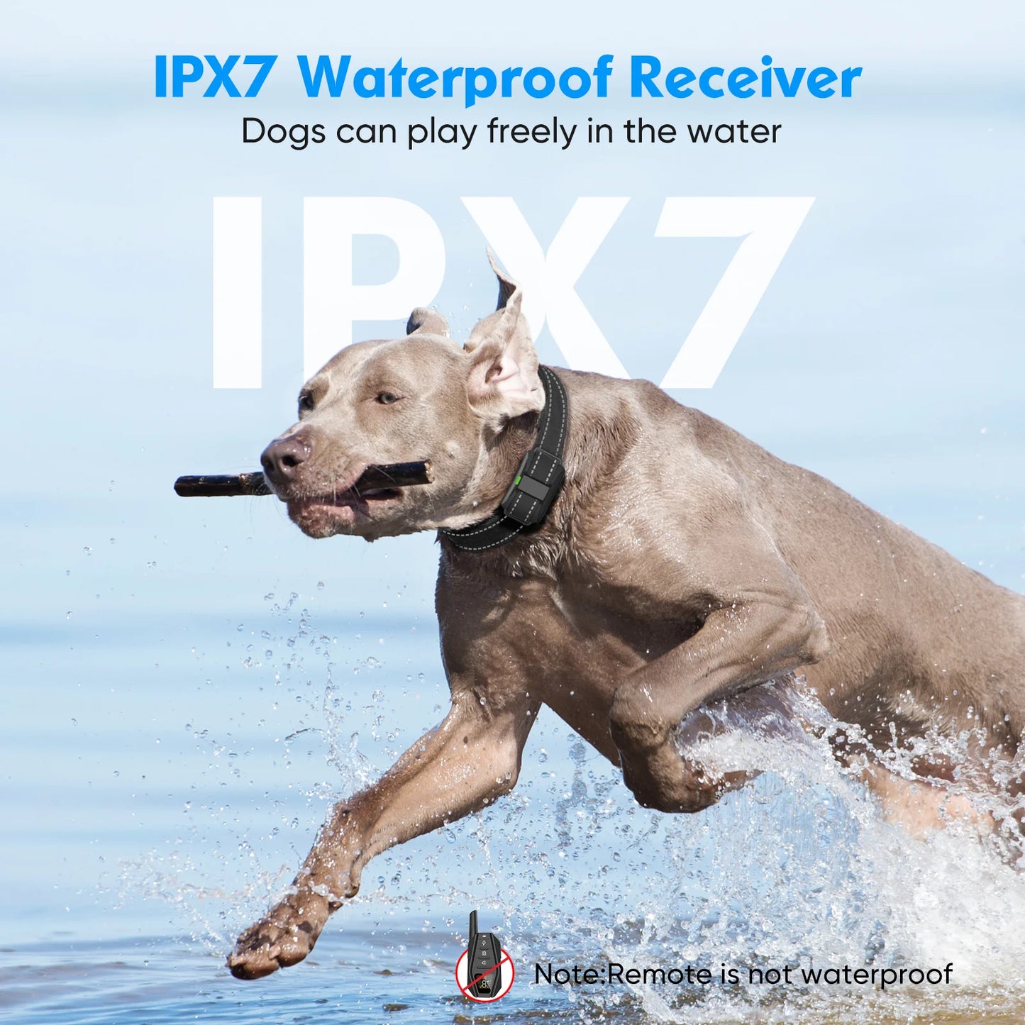 001-aCollare Addestramento Cani 1000m Impermeabile IPX7 con Blocco Sicurezza