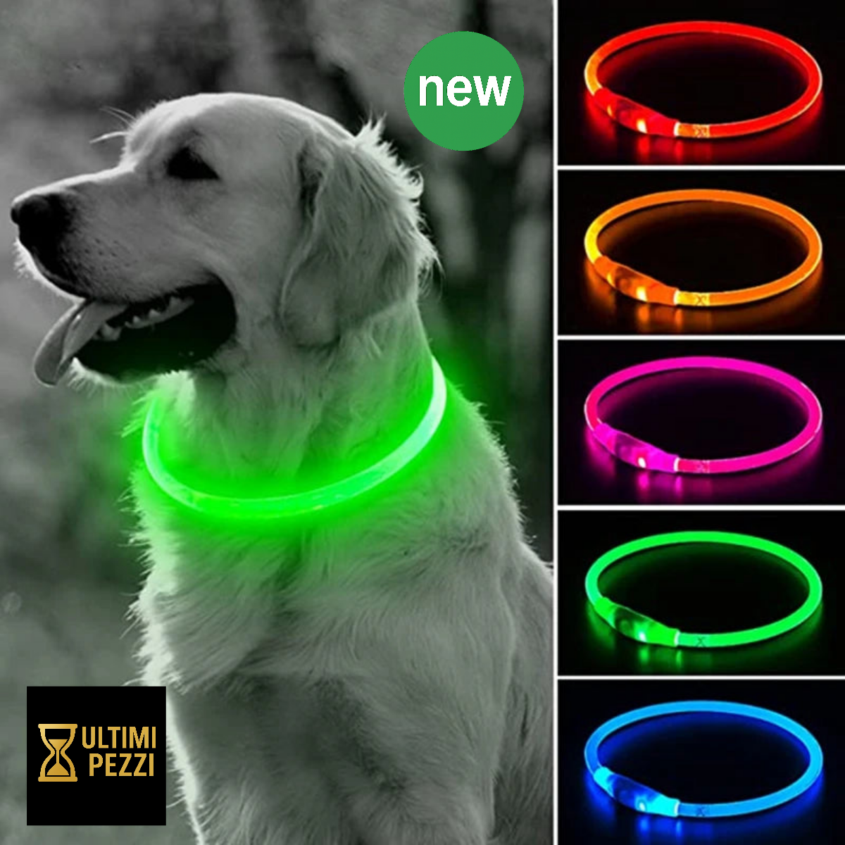 05-USB LED Collar for Night Walking with Your Dog