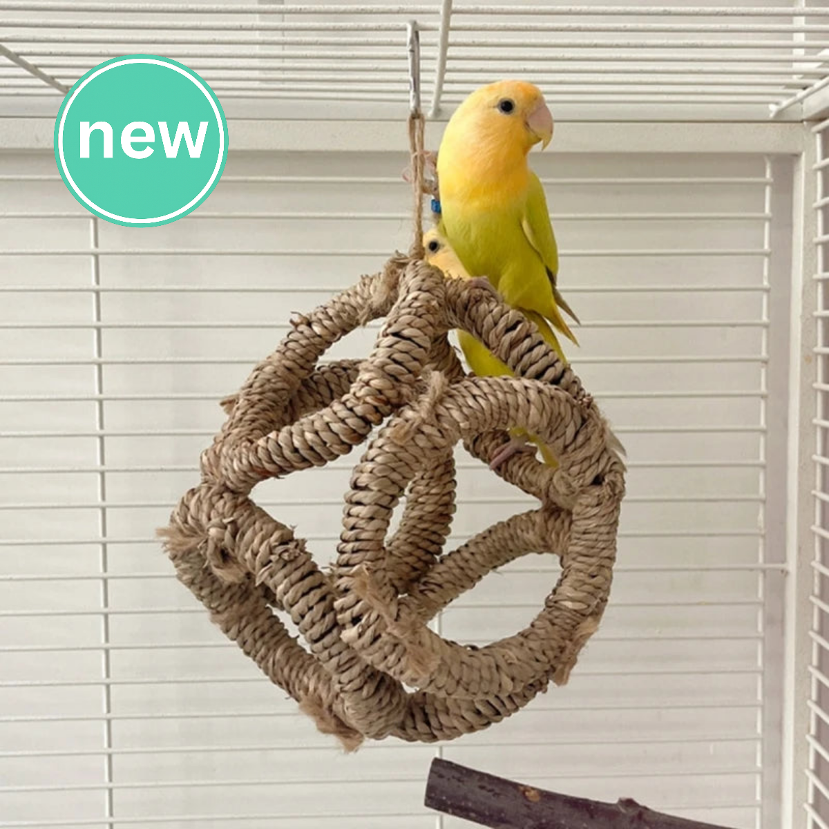 26-Natural Bird Play Ring – Straw, Wood, and Free Happiness