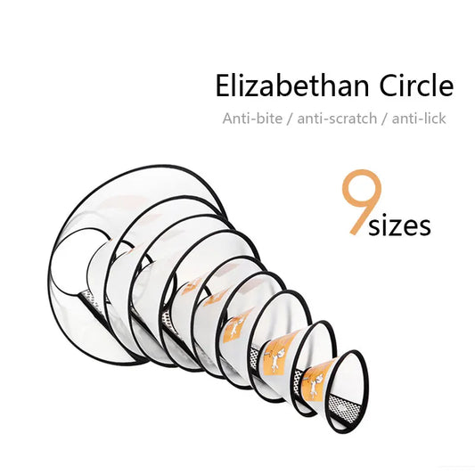 05 – Collare Elisabettiano Trasparente per Cani.