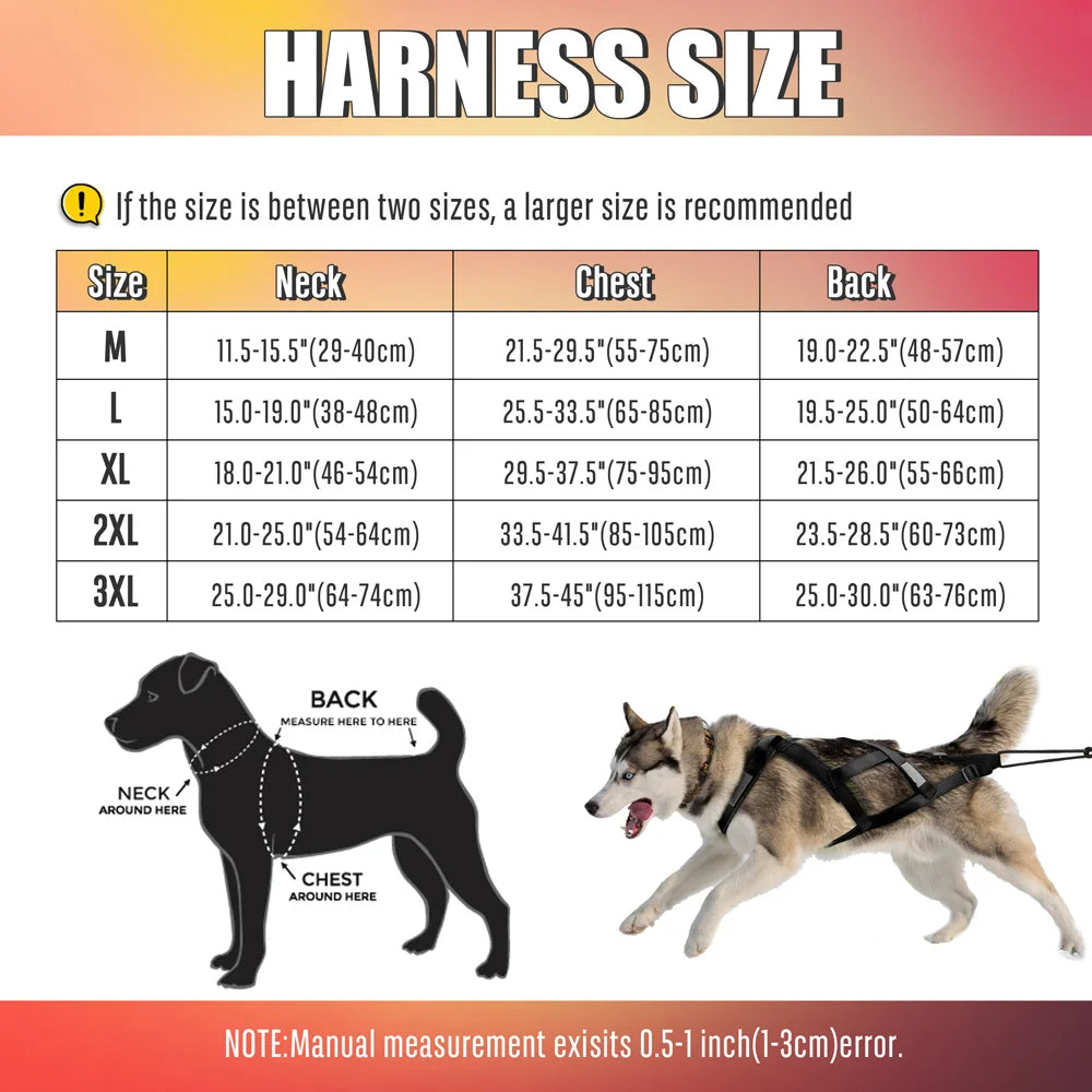 08-Imbracatura da Slitta per Cani XL – Training & Avventura Invernale