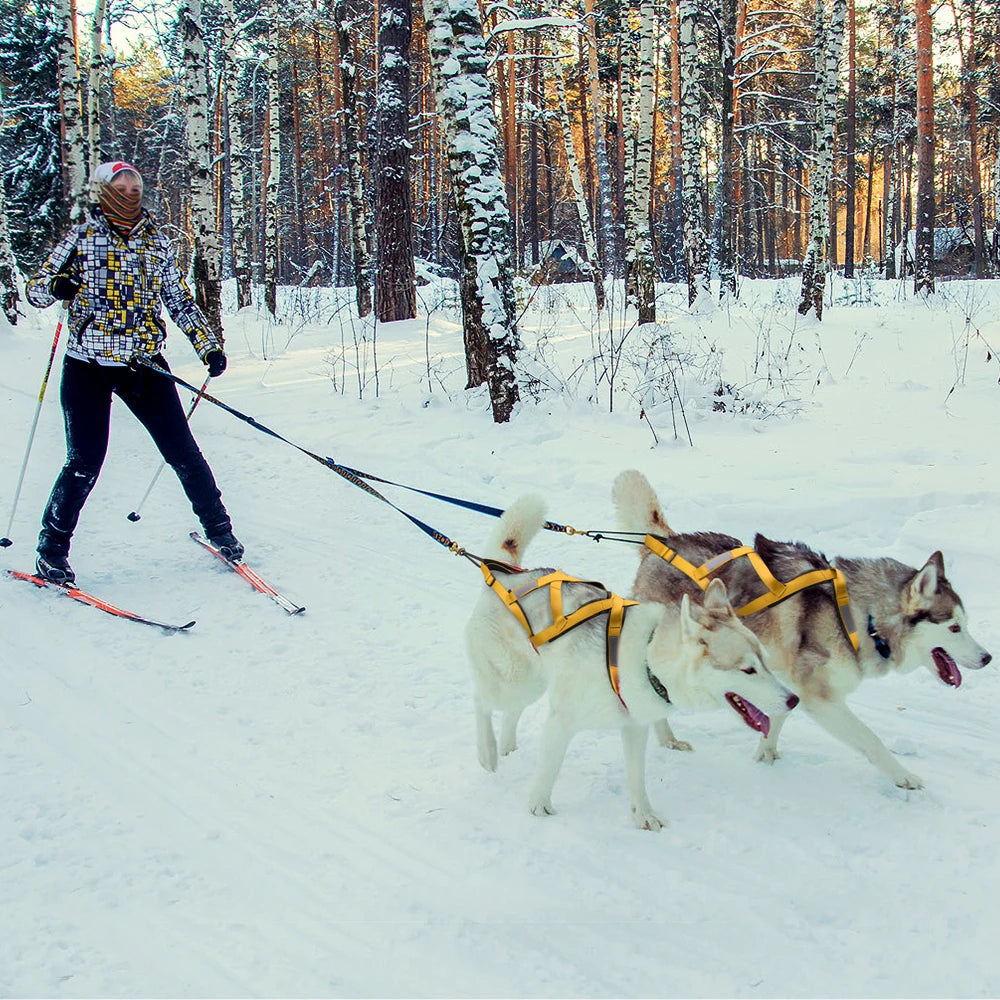 08-Imbracatura da Slitta per Cani XL – Training & Avventura Invernale