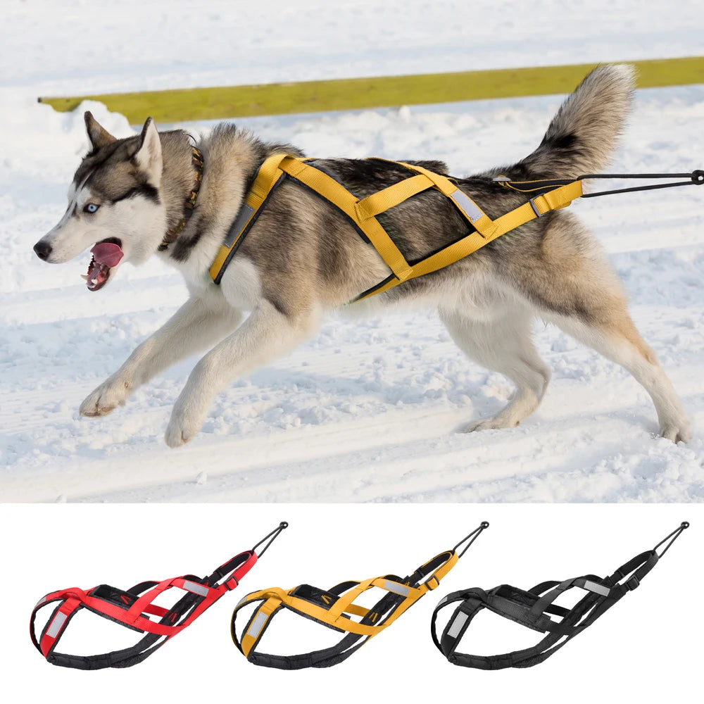 08-Imbracatura da Slitta per Cani XL – Training & Avventura Invernale