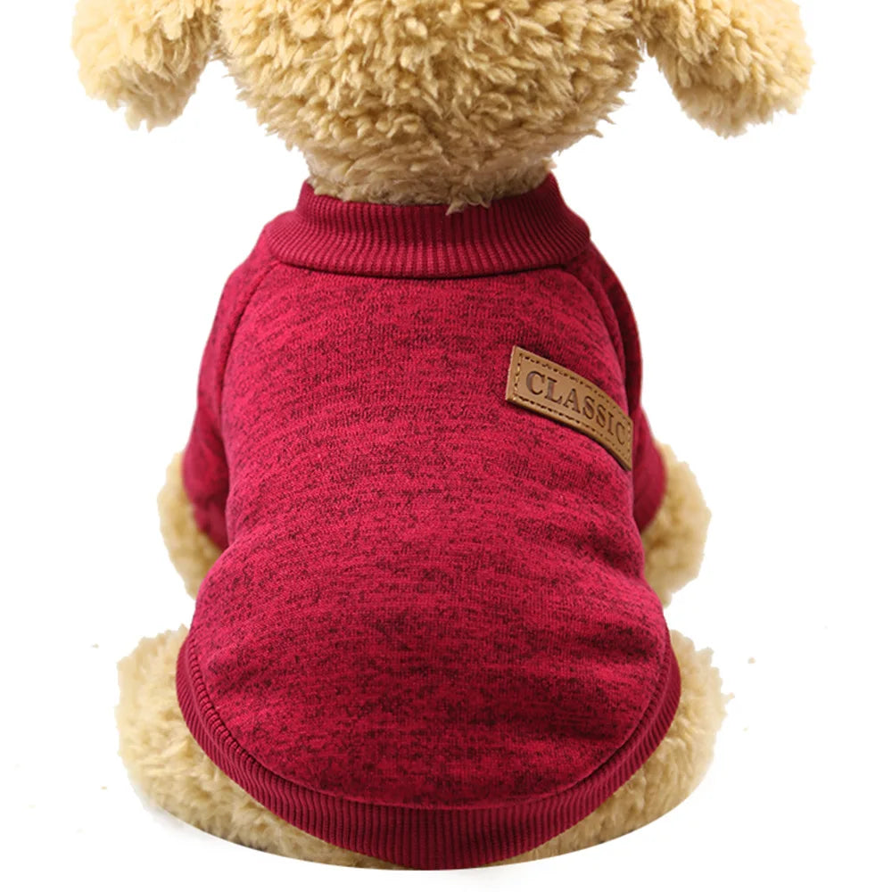 07-Piccolo Cane Grande Stile – Il Must dell’Inverno Pet
