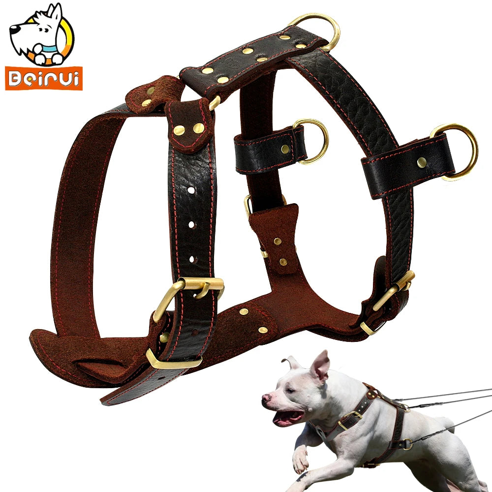 03-Brown Leather Harness – Adjustable for Large Dogs