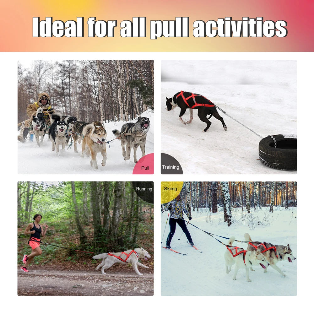 08-Imbracatura da Slitta per Cani XL – Training & Avventura Invernale