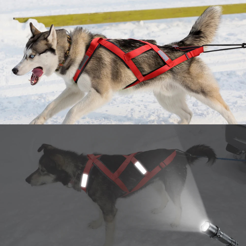 08-Imbracatura da Slitta per Cani XL – Training & Avventura Invernale