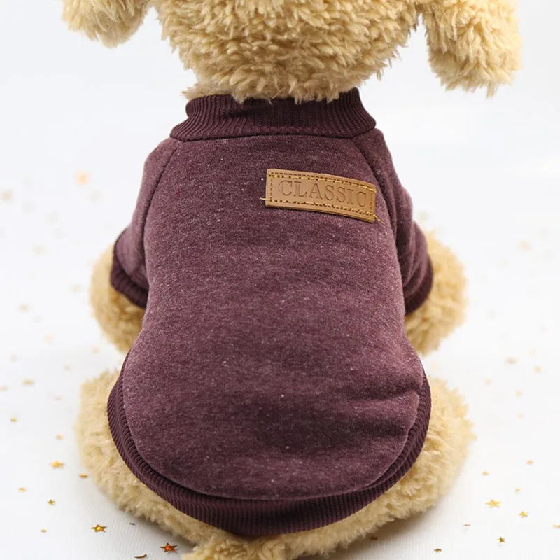 07-Piccolo Cane Grande Stile – Il Must dell’Inverno Pet