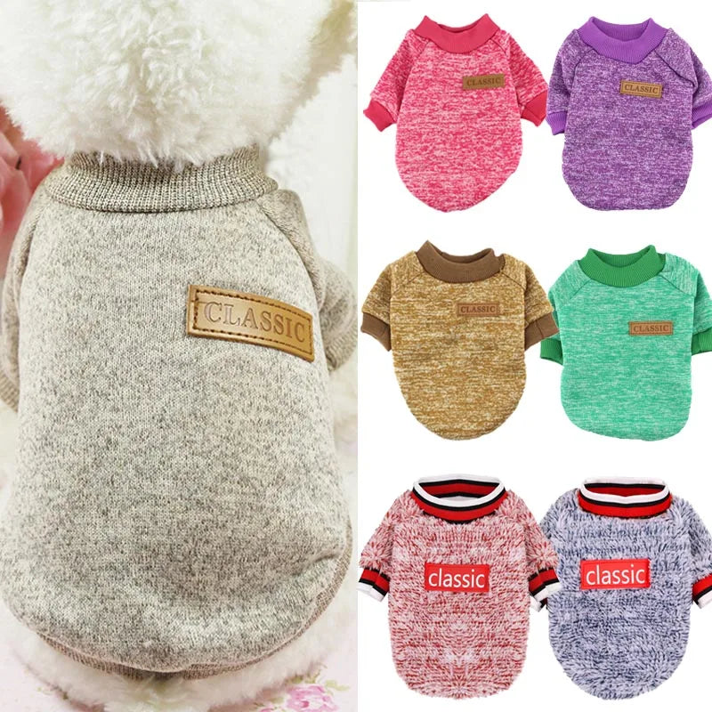 07-Piccolo Cane Grande Stile – Il Must dell’Inverno Pet