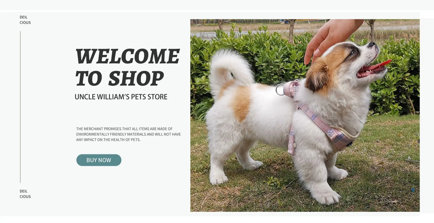 03-Adjustable Tactical Vest for Small Dogs – Outdoor &amp; Training