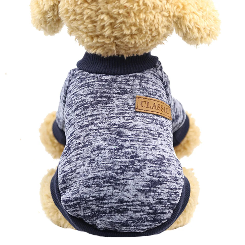 07-Piccolo Cane Grande Stile – Il Must dell’Inverno Pet