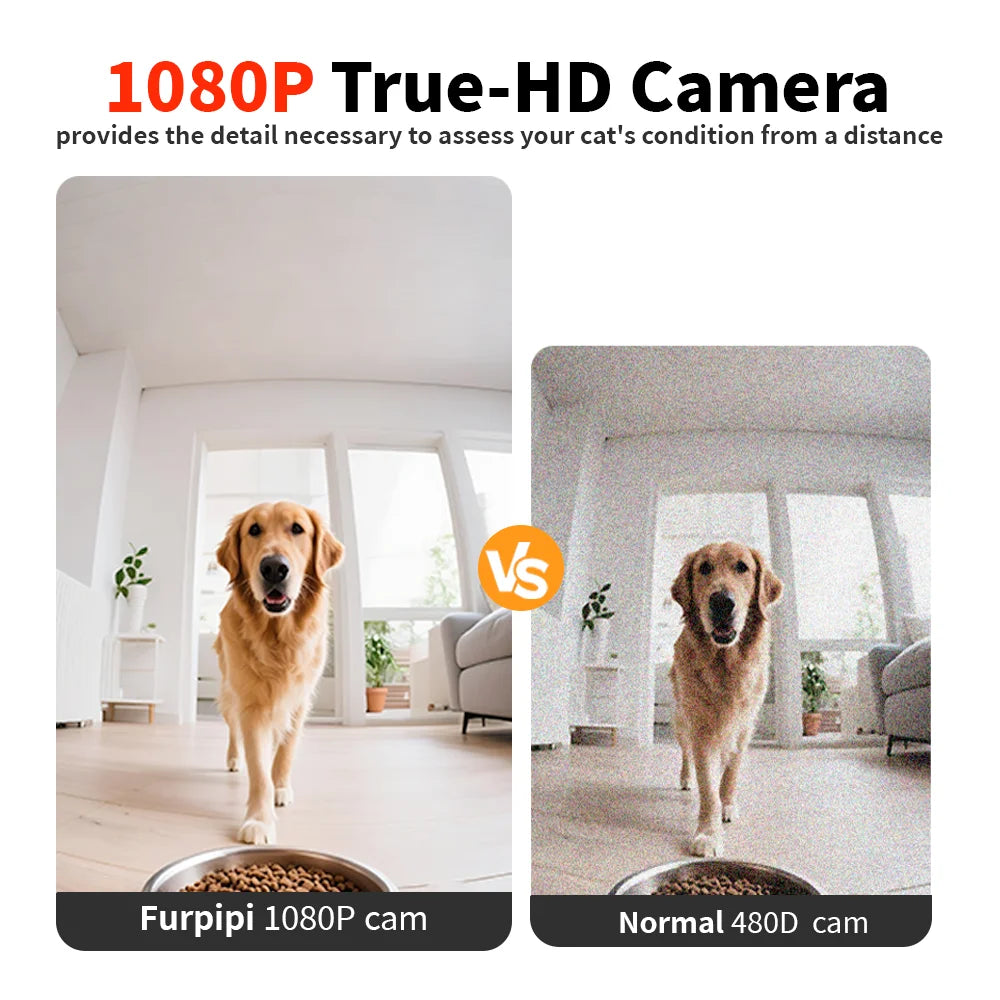 001-aDispenser 8 litri videocamera 1080p Video 5G WiFi Registratore vocale