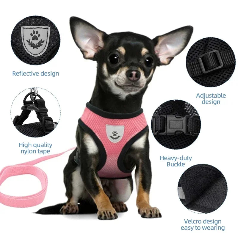 03-Breathable Harness with Leash for Cats and Small Dogs
