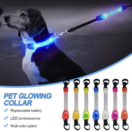05-Collare  luminosi per cani anti smarrimento.