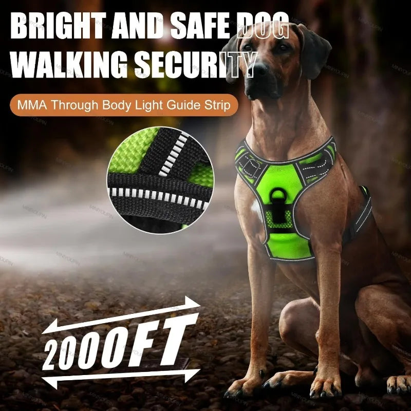 08-Pettorina LED ricaricabile per cani con 3 modalità di illuminazione