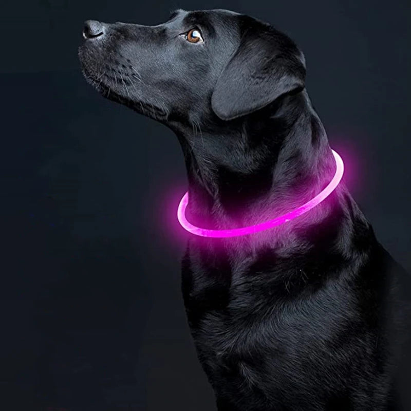 05-USB LED Collar for Night Walking with Your Dog