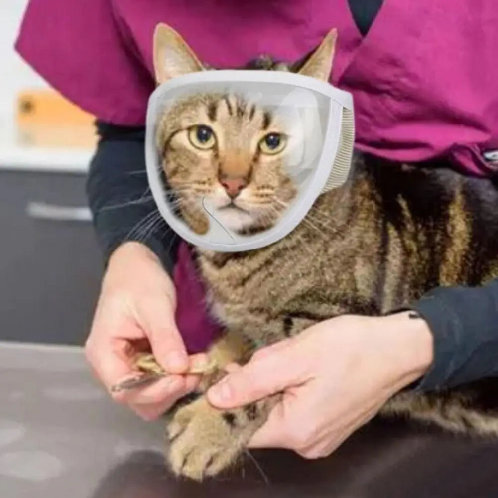 09-Soft, adjustable, and safe anti-bite muzzle for cats