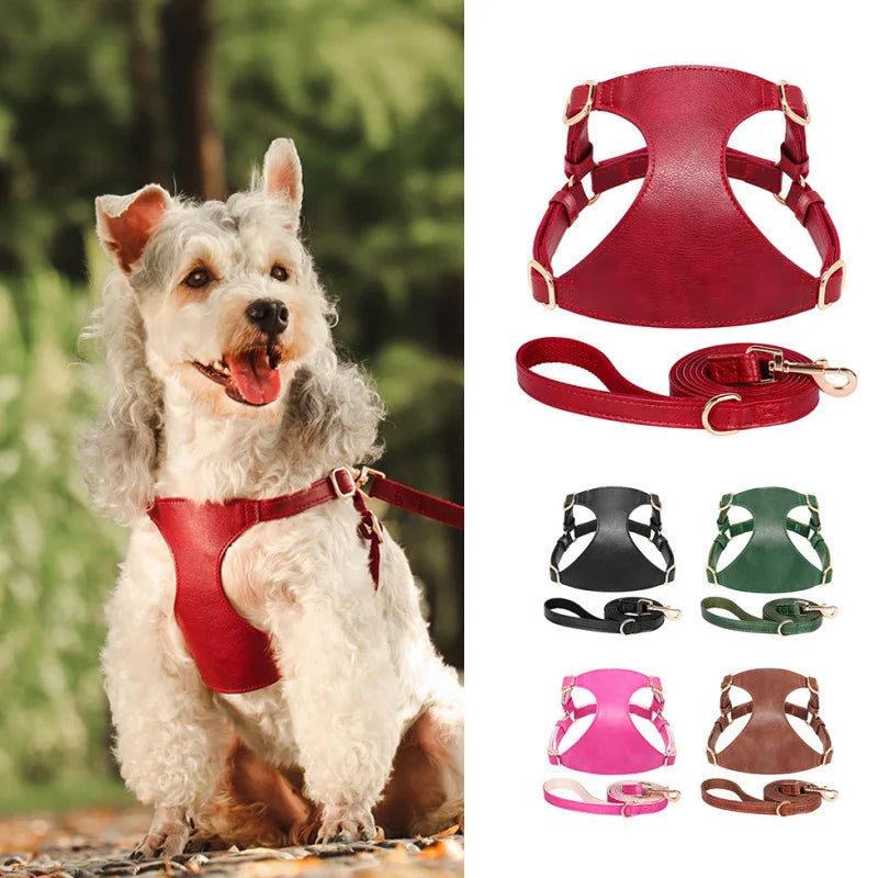 03-Harness for dogs and cats