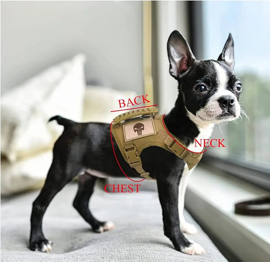 08-Gilet Tattico Regolabile per Cani Piccoli – Outdoor & Allenamento