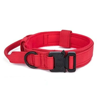 05-Collare addestramento e passeggio per cani con maniglia controllo
