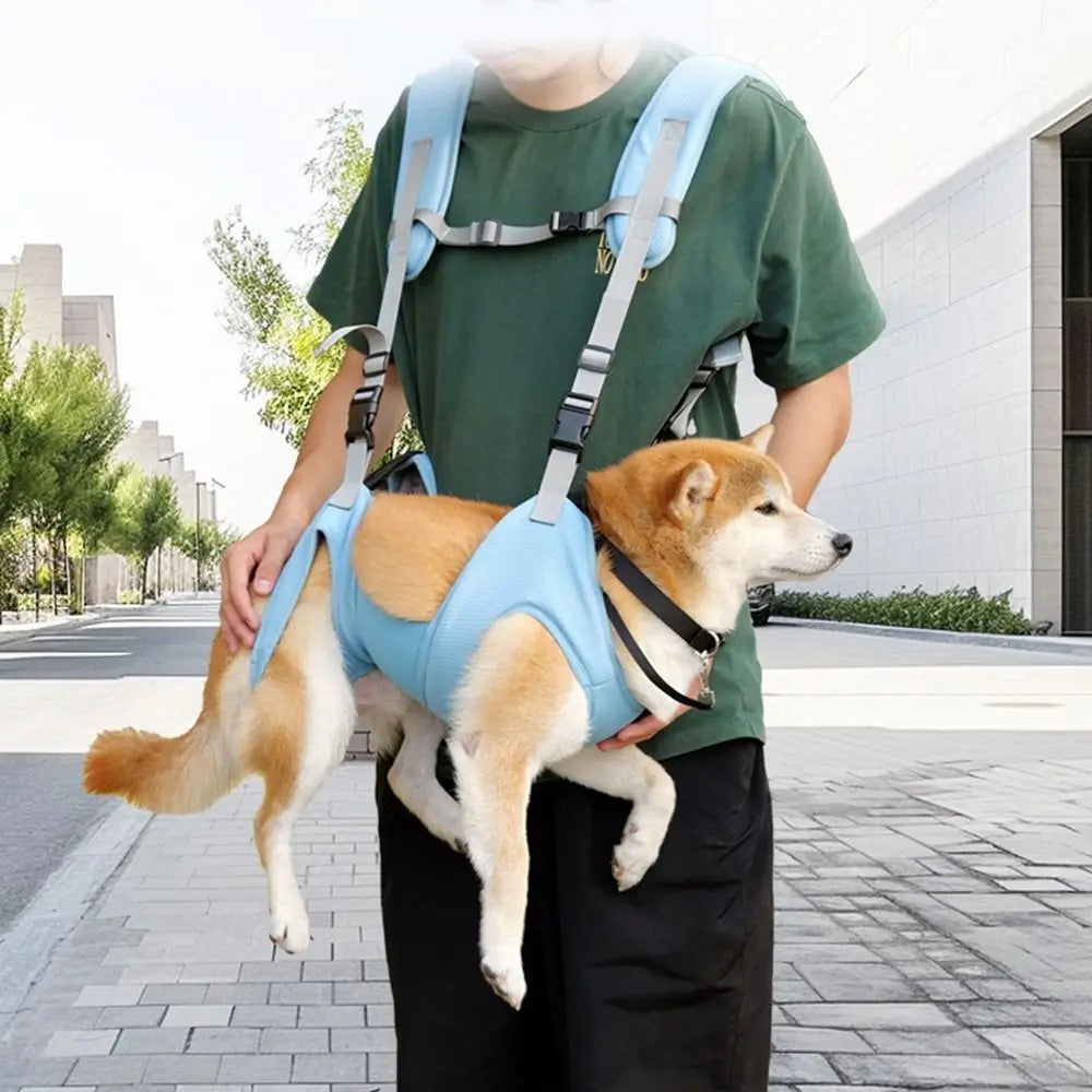 12-Soft Pet Carrier Harness