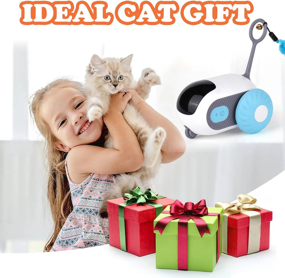 04-Interactive Cat Toy – Automatic Movement and Learning