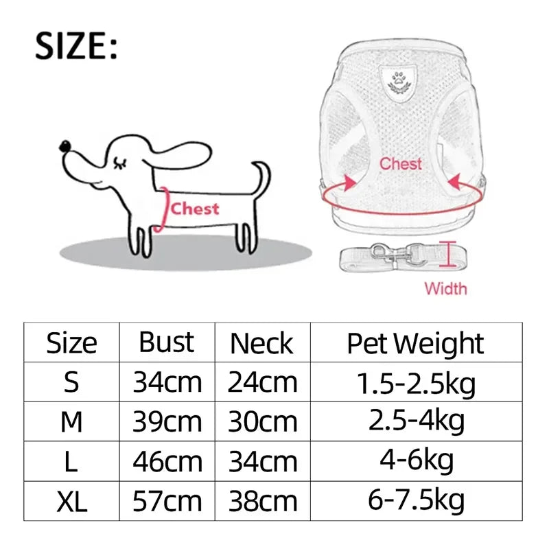 03-Breathable Harness with Leash for Cats and Small Dogs