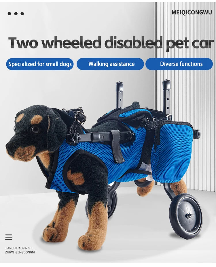 12-Veicolo per la riabilitazione dei cani