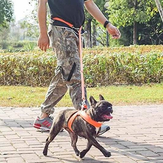 06-Guinzaglio a Mani Libere per Cani – Nylon Riflettente