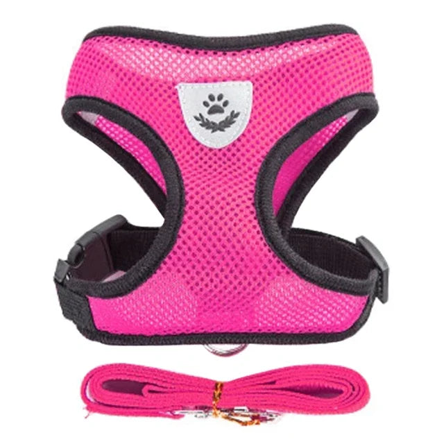 03-Breathable Harness with Leash for Cats and Small Dogs