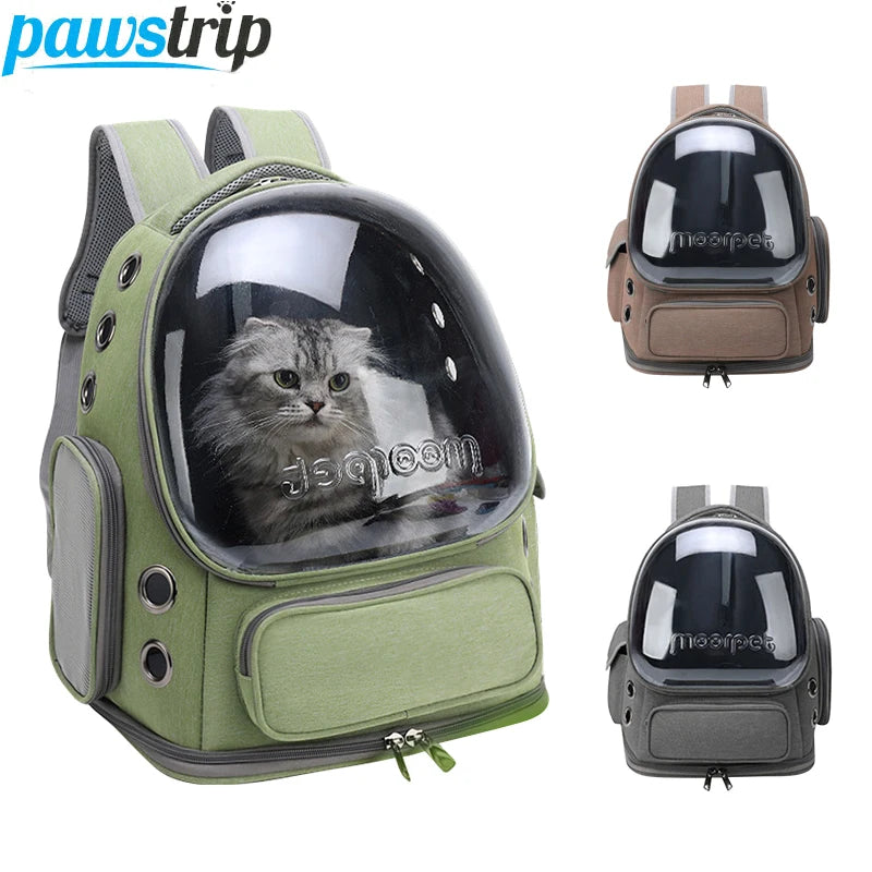 14-Transparent carrier backpack harness.