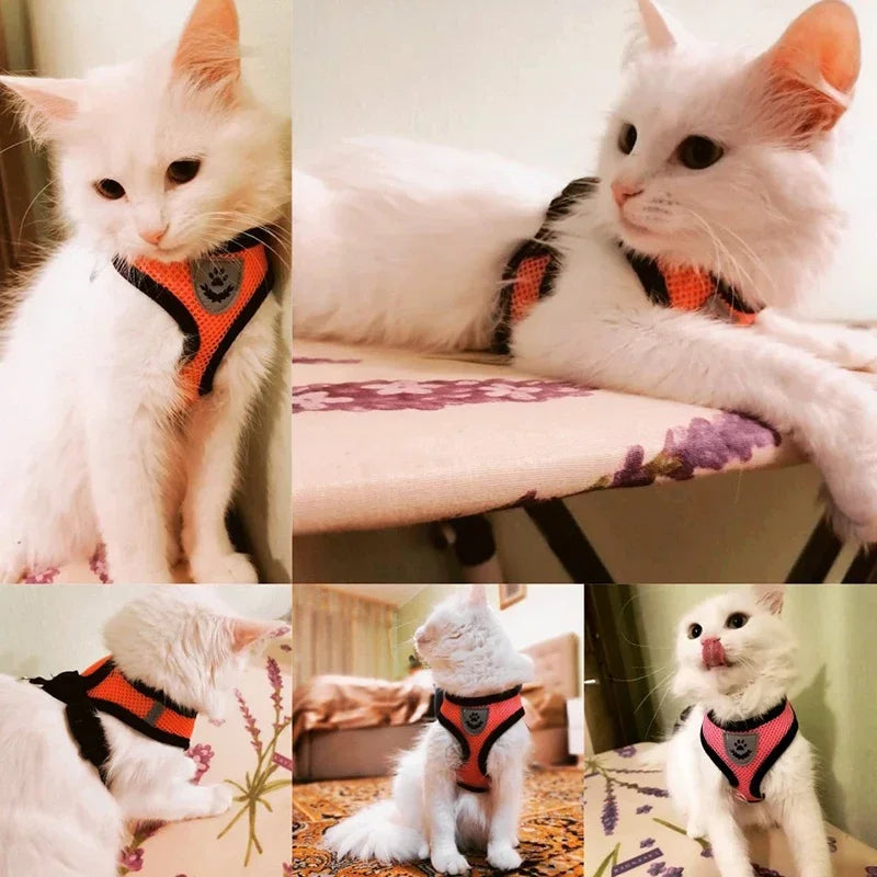 03-Breathable Harness with Leash for Cats and Small Dogs