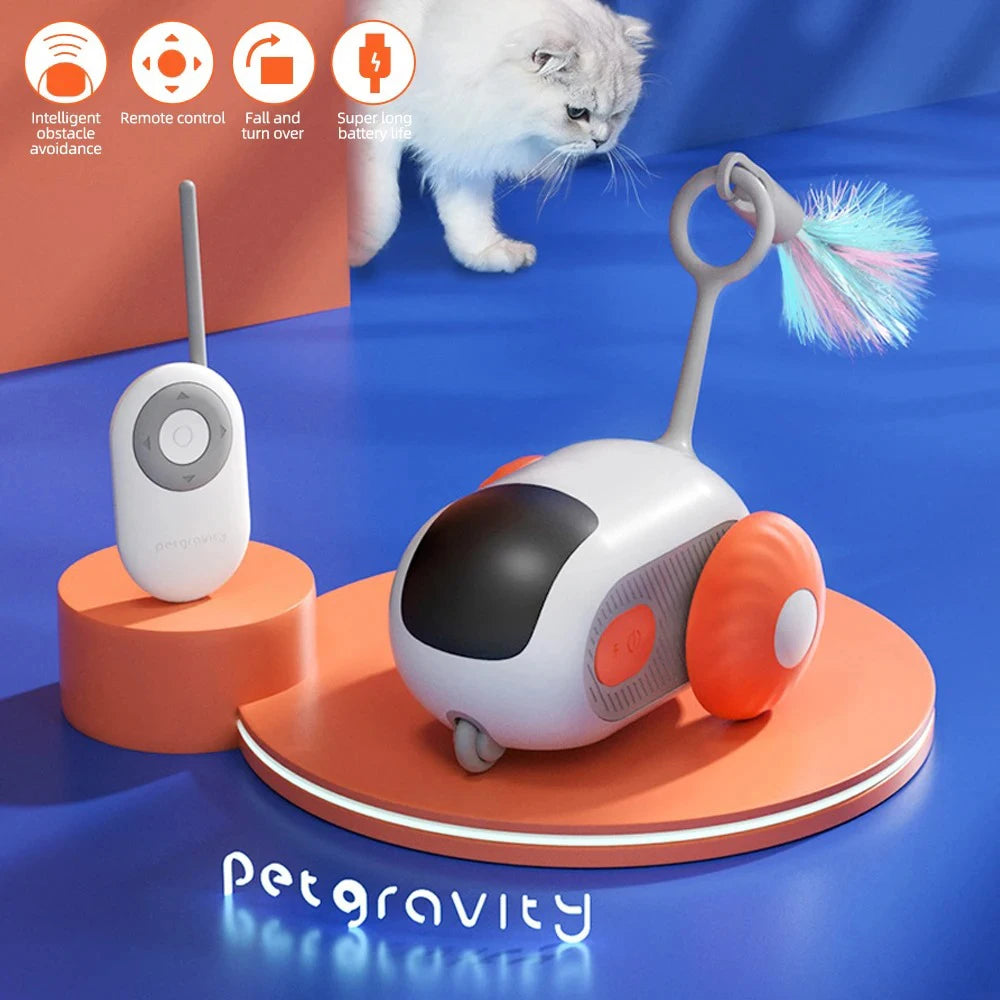 04-Interactive Cat Toy – Automatic Movement and Learning