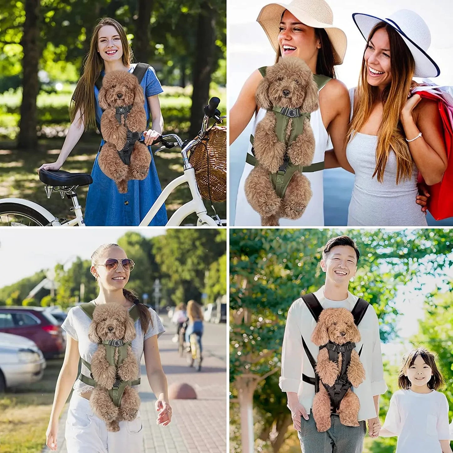 14-Backpack harness for your dog.