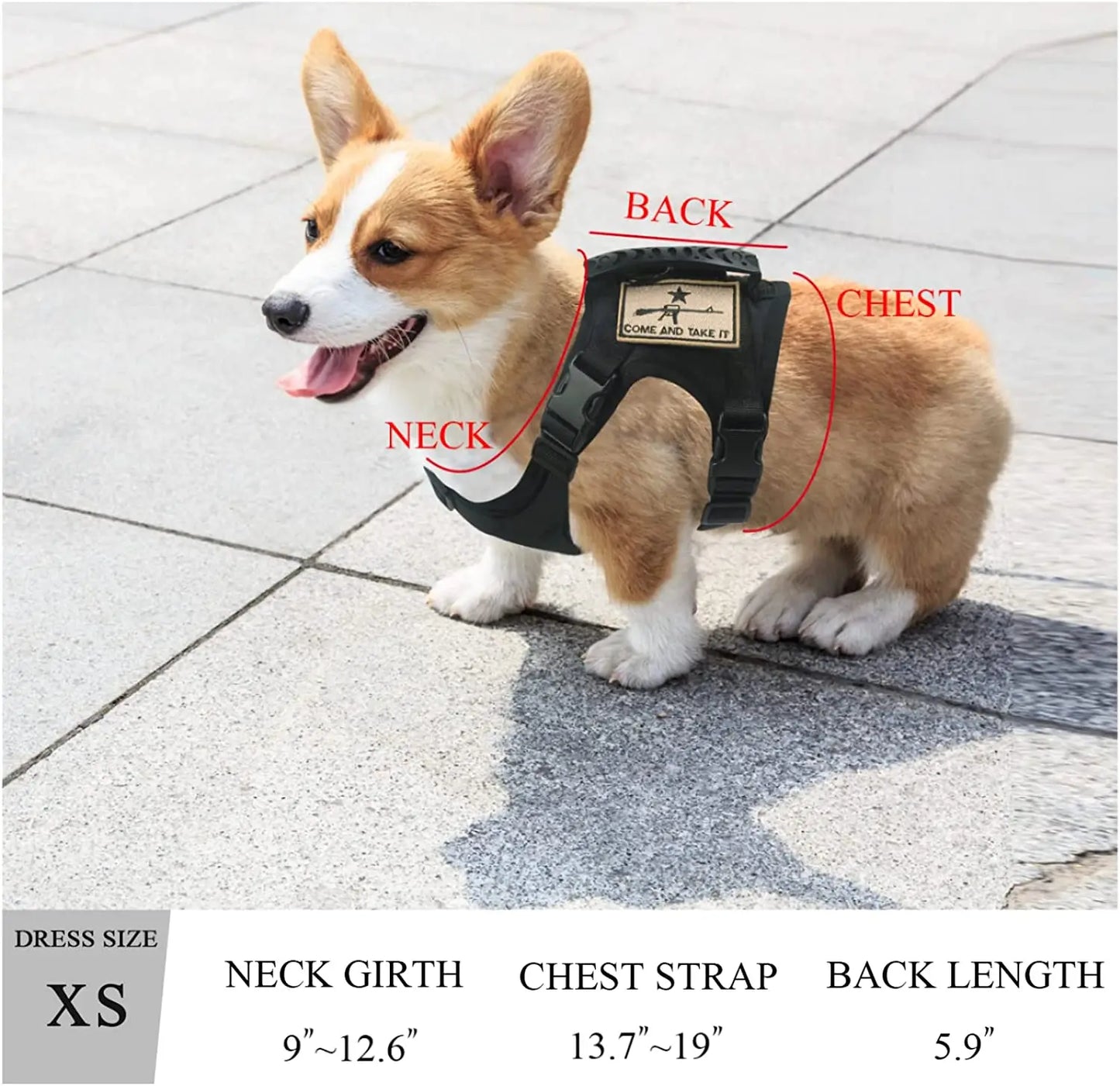 03-Adjustable Tactical Vest for Small Dogs – Outdoor &amp; Training