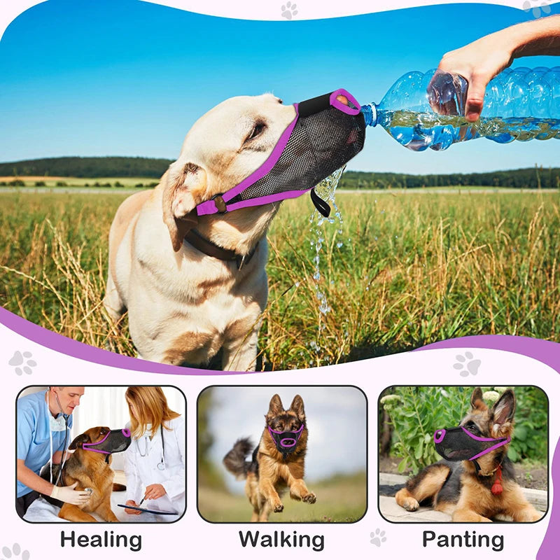 09-Filtering Mesh Muzzle for Dogs – Safety and Comfort
