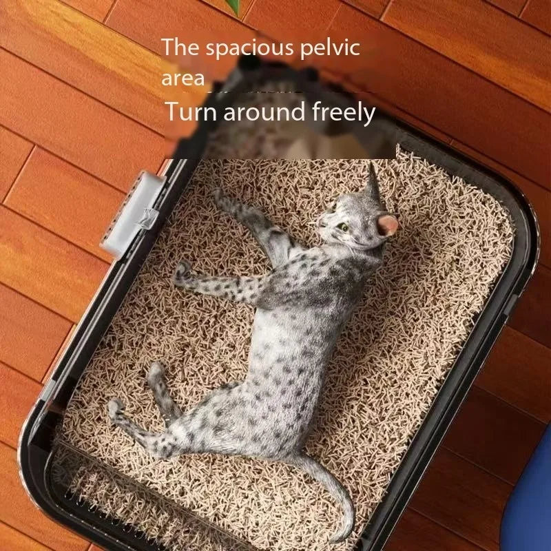 15-Open, Odor-Free Cat Litter Box with Scoop and High Capacity