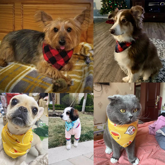 05-Collare Bandana per Cani Mini – Morbido e Colorato