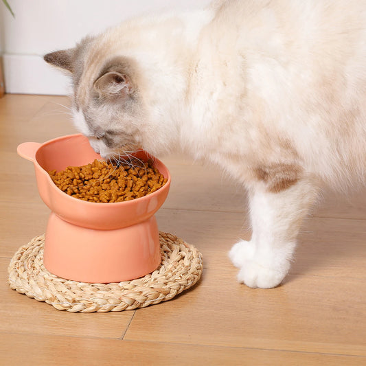 08-Ciotola inclinata antirigurgito – Design orsetto, ideale per gatti.