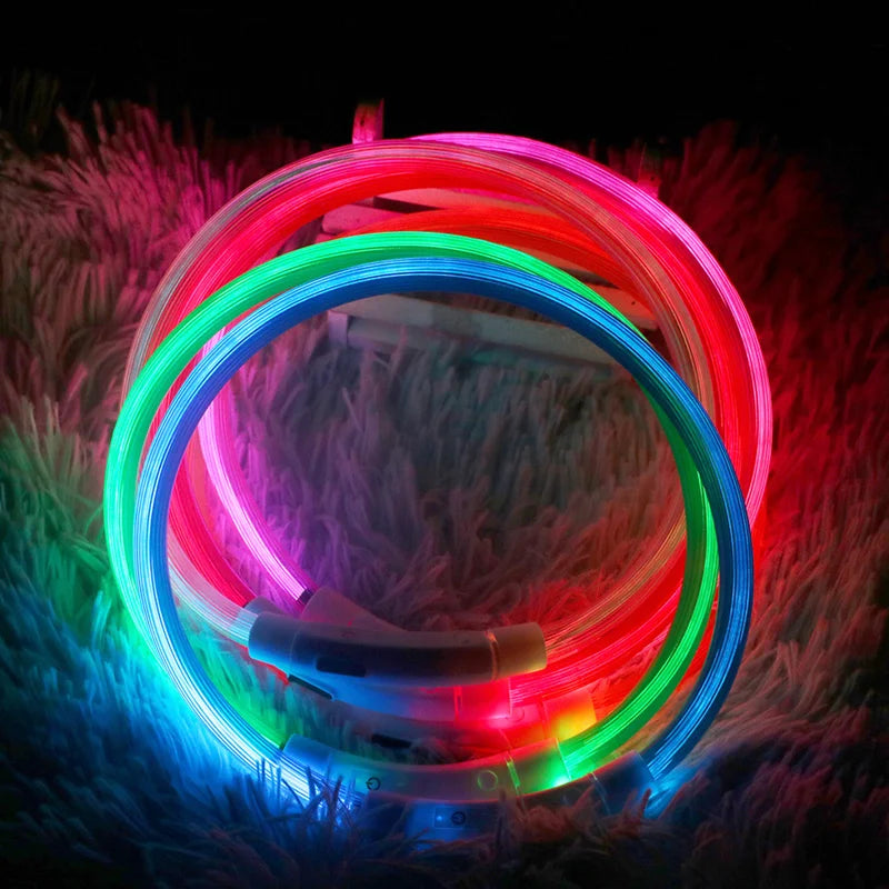 05-USB LED Collar for Night Walking with Your Dog
