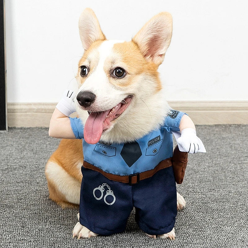 07-Set of costumes for small pets.