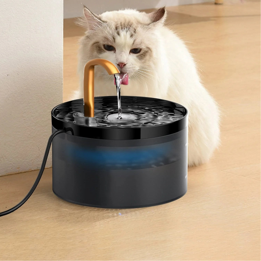 001-aDispenser automatico |Fontana  di acqua per cani e gatti